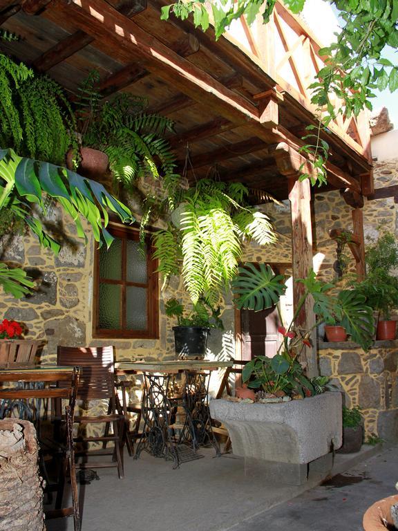 Villa Casa Emblematica La Pileta à Agüimes Extérieur photo